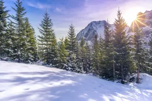 Winter landscape where everything is covered in snow