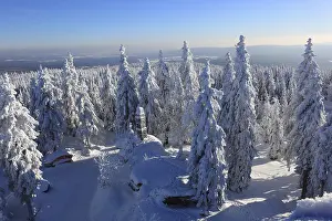Category Forests Prints: Winter landscape in the Fichtel Mountains