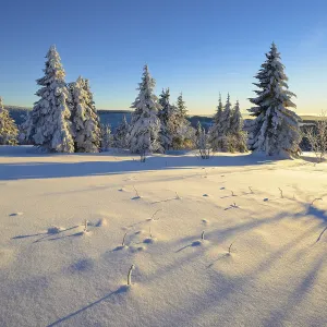 Winter landscape at Fichtelberg