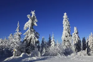 Winter landscape in the Fichtelgebirge