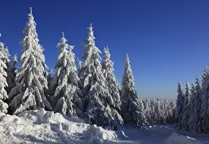 Winter landscape in the Fichtelgebirge