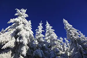 Winter landscape in the Fichtelgebirge