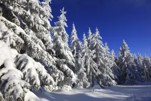 Winter landscape in the Fichtelgebirge