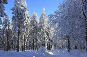 Winter landscape in the Fichtelgebirge