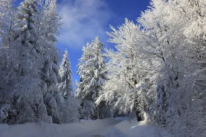 Winter landscape in the Fichtelgebirge