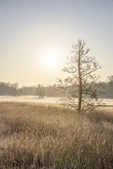 Winter landscape in frost at sunrise