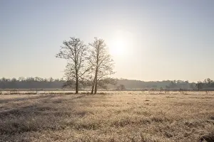 Winter landscape in frost at sunrise