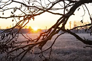 Winter landscape in frost at sunrise