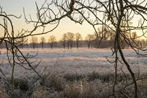 Winter landscape in frost at sunrise