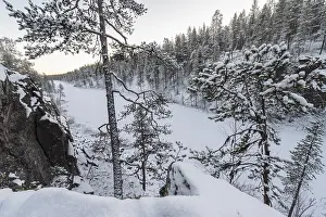 Winter landscape, Gaellivare, Norrbotten