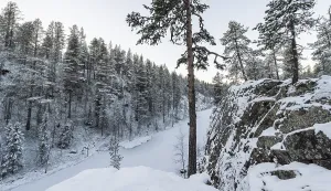 Winter landscape, Gallivare