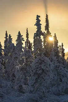 Winter landscape against the light