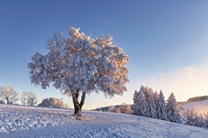 Winter landscape, Mont Saleve, Archamps