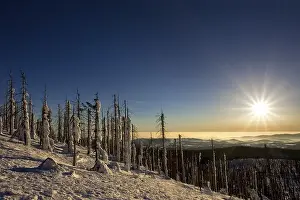 Category Mountain Landscapes Prints: Winter landscape on the mountain Lusen