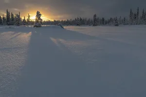 Winter landscape, Muddus National Park