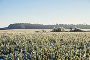 Winter landscape near Muhlenbeck