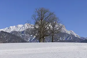 Winter landscape, Panorama, Pinzgau