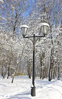 Winter landscape, park with trees in slow and street lamp on sunny day with blue sky
