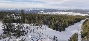 Winter landscape with snow-covered forest and people skiing