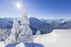 Winter landscape and snow-covered trees in front of mountains