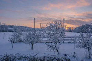 Winter landscape with snow-covered trees and pink sky at sunrise
