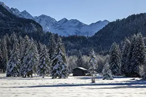Winter landscape in the snow, snowy landscape