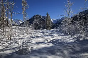 Winter landscape in the snow, snowy landscape