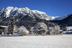Winter landscape, snowy landscape