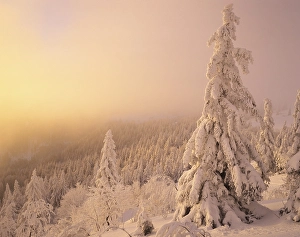 Winter landscape at sunset, Mt