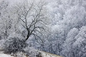Winter landscape in the Swabian Jura