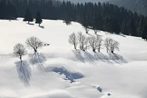 Winter landscape in the Thuringian Forest near Stutzerbach