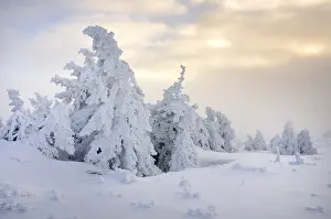Winter on Mt. Brocken, Harz mountains