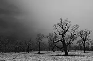 Winter onset, Ahornboden, Eng, Austria, Europe