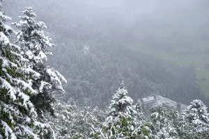 Winter onset, mountains, trees