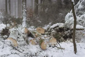 Winter in the Ore Mountains