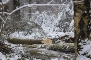 Winter in the Ore Mountains