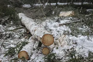 Winter in the Ore Mountains