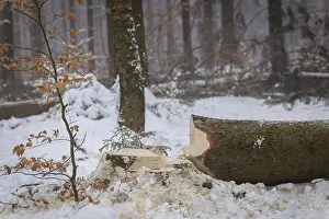Winter in the Ore Mountains
