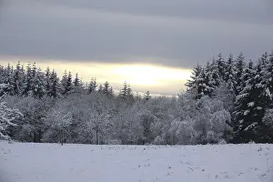 Winter on the Riedelbacher Heide