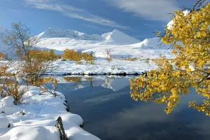 Winter in Rondane National Park