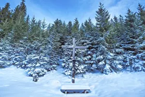 Winter scene with an old wooden cross and a forest of fir covered in snow