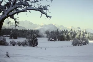 Winter scene.A landscape in Alps