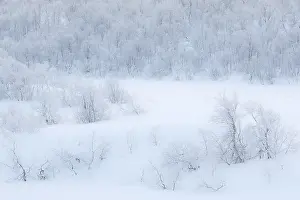 Winter on the Skogsfjordvatnet