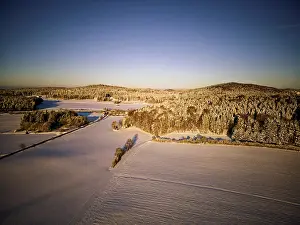 Winter, snow, forest, trees, drone