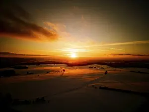 Winter, snow, forest, trees, drone