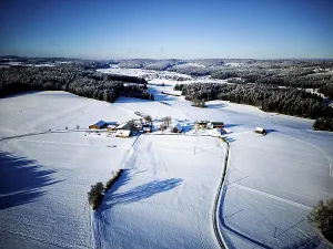 Winter, snow, forest, trees, drone