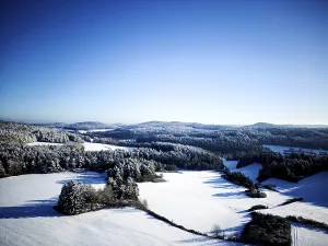 Winter, snow, forest, trees, drone