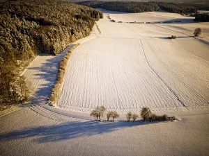 Winter, snow, forest, trees, drone