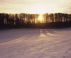 Winter sunset, near Merklingen