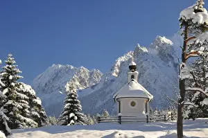 Winter, winter landscape, winter forest